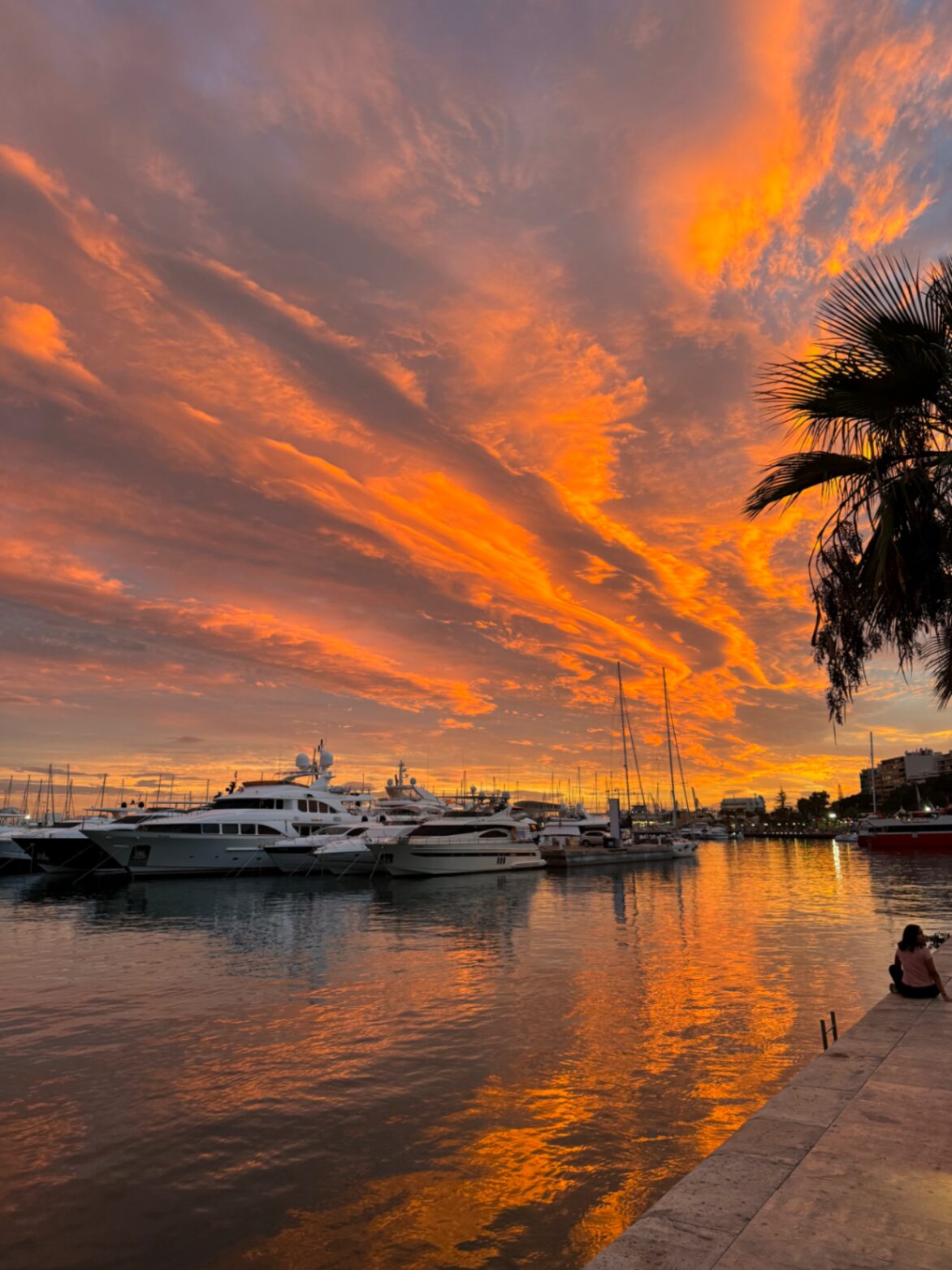 Alicante coast